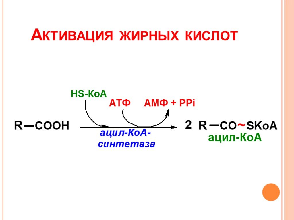 Кофермент атф. Реакция активации жирной кислоты. Уравнение реакции активации жирной кислоты. Реакция активирования жирной кислоты. Активация жирных кислот.