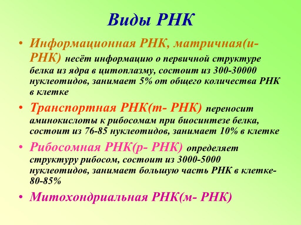 Биологические свойства рнк. Строение и функции разных видов РНК. Основные функции РНК. Структура и функции РНК (разновидности, структура).. Перечислите типы РНК И их функции.