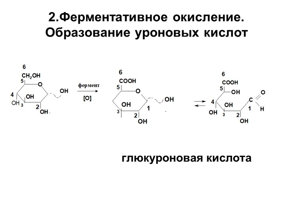 Реакция образования окисления глюкозы. Схема образования d-глюкуроновой кислоты. Глюкуроновая кислота Синтез. Образование глюкуроновой кислоты из Глюкозы реакция. Синтез глюкуроновой кислоты из Глюкозы.