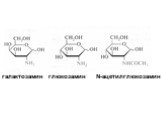 галактозамин глюкозамин N-ацетилглюкозамин