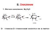 Б. Окисление. 1. Мягкое окисление, Br2/H2O. D- глюкоза D- глюконовая кислота и ее - лактон