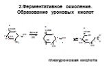 2.Ферментативное окисление. Образование уроновых кислот. глюкуроновая кислота