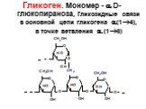 Гликоген. Мономер -  D-глюкопираноза, гликозидные связи в основной цепи гликогена (14), в точке ветвления  (16)