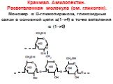 Крахмал. Амилопектин. Разветвленная молекула (см. гликоген). Мономер  D-глюкопираноза, гликозидные связи в основной цепи (14) в точке ветвления  (16)