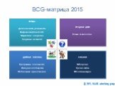 BCG-матрица 2015