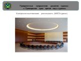 Приоритетные направления развития туризма в Приморском крае: прочие виды туризма. Конгрессно-выставочная деятельность (MICE-туризм)