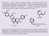 Корневища и корни родиолы розовой содержат фенолоспирт тиразол и его глюкозид салидрозид (около 1%), флавоноиды  производные гербацетина, трицина и кемпферола; гликозиды коричного спирта  розавин (до 2,5%), розарин, розин; флавонолигнан родиолин; монотерпены  розиридол и розиридин; дубильные веще