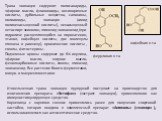 Трава эхинацеи содержит полисахариды, эфирное масло, флавоноиды, оксикоричные кислоты, дубильные вещества, сапонины, полиамиды, эхинацин (амид полиненасыщенной кислоты), ненасыщенный кетоспирт эхинолон, гликозид эхинакозид (при гидролизе расщепляющийся на пирокатехин, этанол, кофейную кислоты, две м