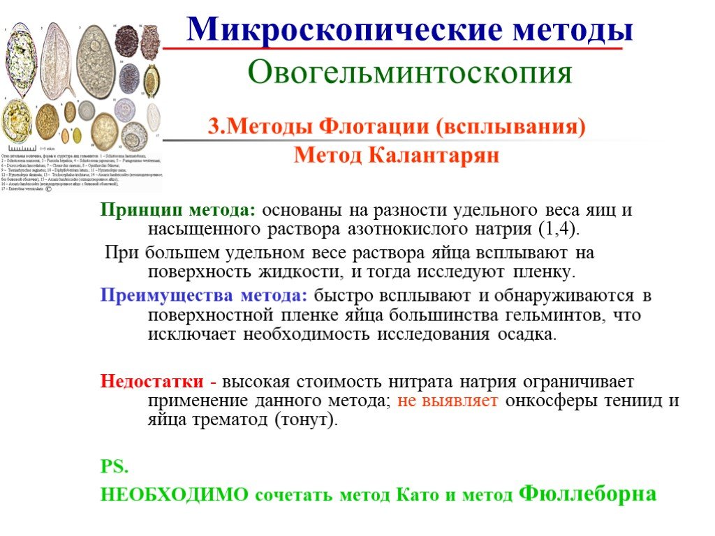 Методы микробиологической диагностики гельминтозов презентация