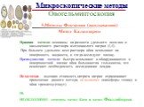 3.Методы Флотации (всплывания) Метод Калантарян Принцип метода: основаны на разности удельного веса яиц и насыщенного раствора азотнокислого натрия (1,4). При большем удельном весе раствора яйца всплывают на поверхность жидкости, и тогда исследуют пленку. Преимущества метода: быстро всплывают и обна