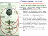 Диагностика филяриатозов Метод мазка крови и толстой капли Кровь берут в асептических условиях из пальца преимущественно ночью. Для приготовления мазка каплю крови помещают на предметное стекло и краем второго стекла размазывают ее по стеклу. Мазок фиксируют метиловым спиртом и окрашивают по Романов