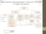 Предлагаемая организационная структура ТЭК ООО «Стафф менеджмент»