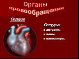 Сердце. Сосуды: артерии, вены, капилляры. Органы кровообращения