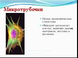 Полые цилиндрические структуры Образуют цитоскелет клетки, веретено деления, центриоли, жгутики и реснички. Микротрубочки обозначены зеленым цветом
