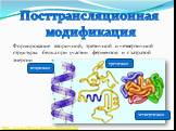 Посттрансляционная модификация. Формирование вторичной, третичной и четвертичной структуры белка при участии ферментов и с затратой энергии. вторичная третичная четвертичная. http://www.ebio.ru/images/08010502.jpg