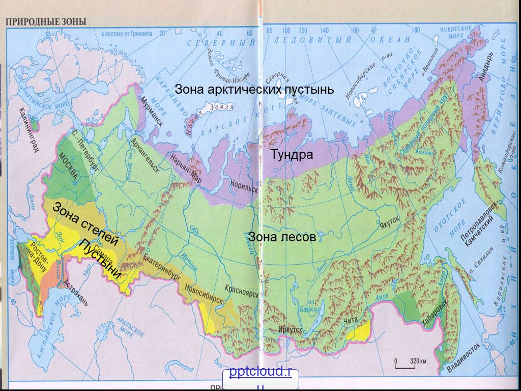 Тундра относительно морей и океанов. Зона арктических пустынь на карте России 4 класс. Показать на карте зону арктических пустынь. Зона арктических пустынь на карте 4 класс. Тундра на карте России природных зон.