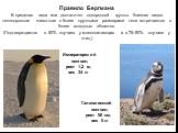 Правило Бергмана В пределах вида или достаточно однородной группы близких видов теплокровные животные с более крупными размерами тела встречаются в более холодных областях. (Подтверждается в 50% случаев у млекопитающих и в 75–90% случаев у птиц.). Императорский пингвин, рост 1,2 м, вес 34 кг. Галапа