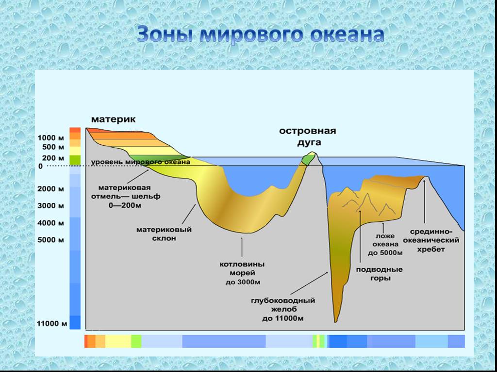 Рисунок рельефа дна океана