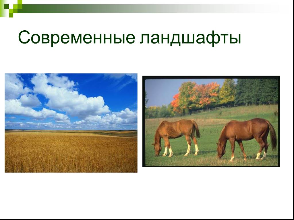 Лесостепь и степь слайд. Занятия в степи и лесостепи. Животноводство в лесостепной зоне. Животноводство в лесостепи России.