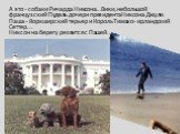 А это - собаки Ричарда Никсона...Вики, небольшой французский Пудель дочери президента Никсона Джули. Паша - йоркширский терьер и Король Тимахо - ирландский Сеттер... Никсон на берегу резвится с Пашей...