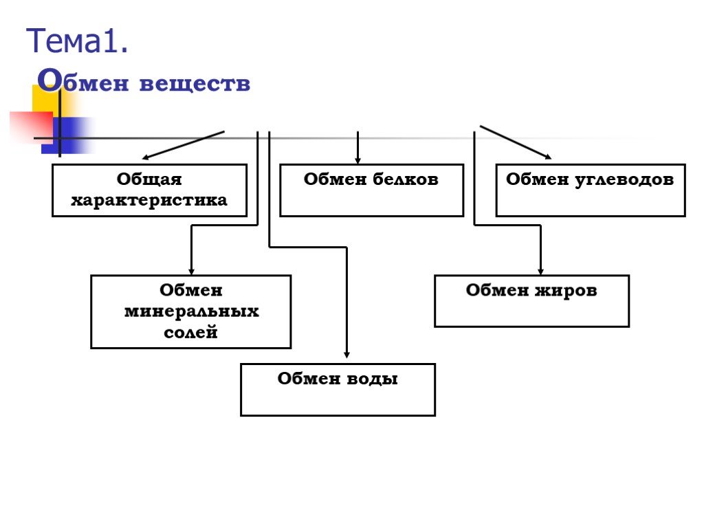 Первый обмен