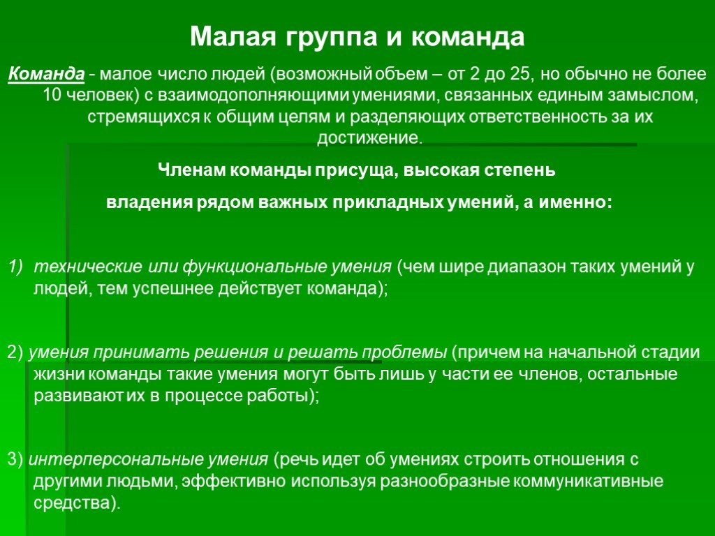 Определение малой группы. Команда как малая группа.