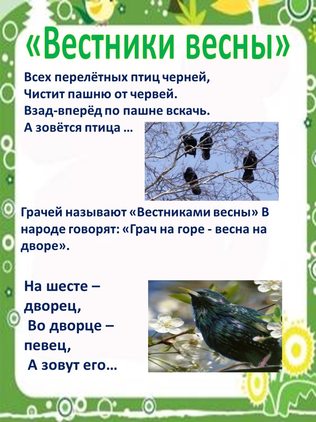 Сведения о птицах для детей весной