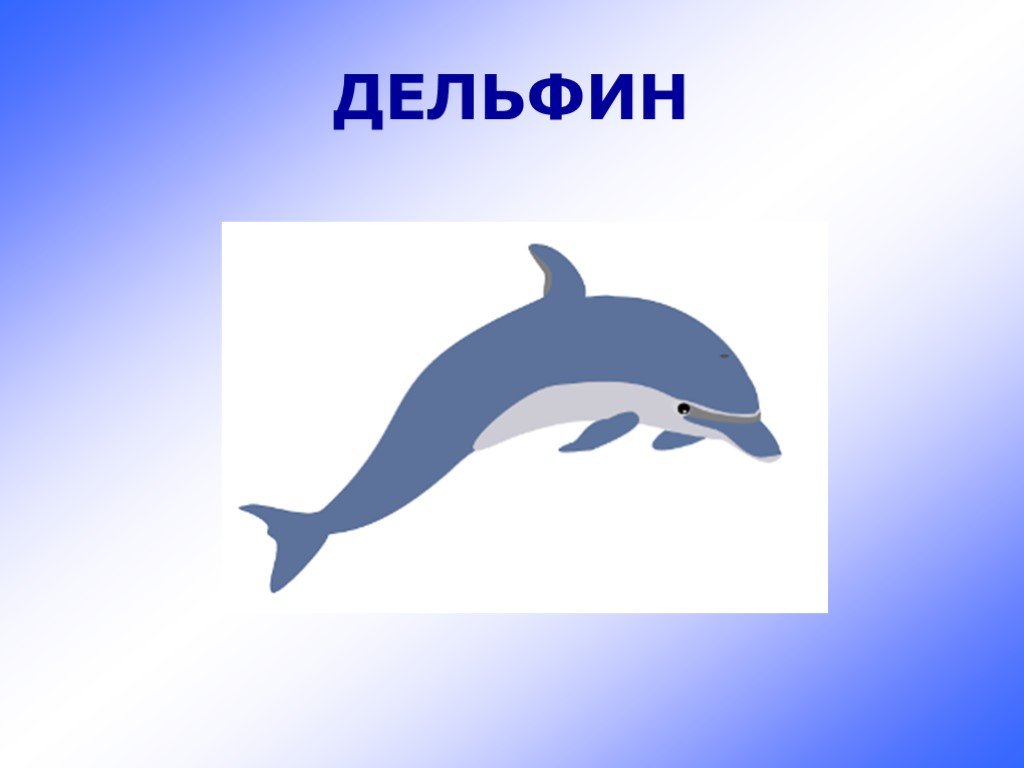 Английский про дельфинов. Дельфин карточка. Дельфин карточка для детей. Карточки с изображение дельфина. Дельфин по английскому.