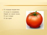 В огороде вырастаю. А когда я созреваю, Варят из меня томат, В щи кладут И так едят.