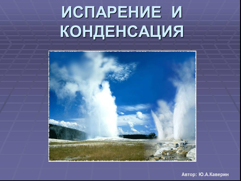 Испарение и конденсация в живой природе проект