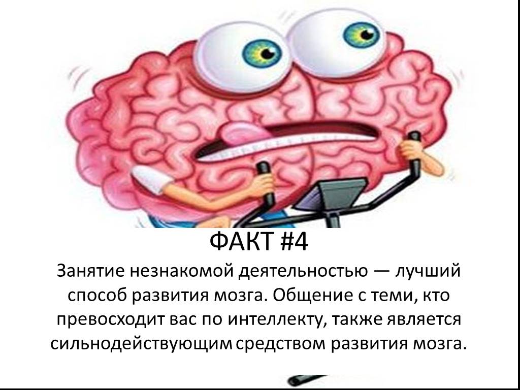 Факты про мозги. Интересные факты о мозге. Интересные факты о головном мозге. Факты о головном мозге человека. Интересные факты о мозге человека для детей.
