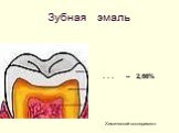 Зубная эмаль . . . – 2,66%. Химический эксперимент