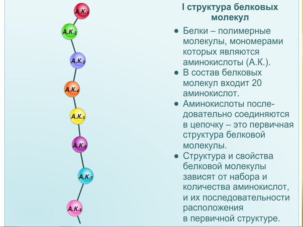 Связь мономеров белков. Первичная структура белка структура. Первичная структура белковых молекул. Первичная структура белка аминокислоты. Первичная структура белка Кратина.