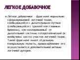 Легкое добавочное. Легкое добавочное – фрагмент нормально сформированной легочной ткани, сообщающийся с дыхательными путями (сообщающейся с трахеей или главным бронхом), или изолированный от дыхательной системы гетеротопический (в необычном месте) участок легочной ткани. Такой фрагмент имеет отдельн