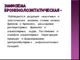 Эмфизема бронхиолоэктатическая –. Наблюдается редукция мышечных и эластических волокон стенок мелких бронхов и бронхиол, расширение респираторных бронхиол и альвеолярных ходов. Растяжение и атрофия альвеолярных перегородок приводят к формированию центрилобулярных эмфизематозных пузырей.