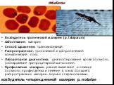Возбудитель тропической малярии (p. falciparum) Заболевание: малярия Способ заражения: трансмиссивный. Распространение: тропический и субтропический климатический пояс. Лабораторная диагностика: диагностирование крови больного, (обнаружение эритроцитарной шизогонии. Профилактика малярии: раннее выяв
