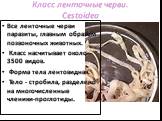 Класс ленточные черви. Cestoidea. Все ленточные черви паразиты, главным образом позвоночных животных. Класс насчитывает около 3500 видов. Форма тела лентовидная. Тело - стробила, разделено на многочисленные членики-проглотиды.