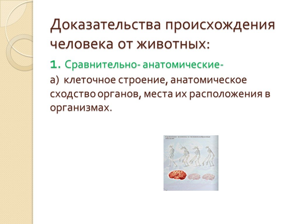 Сходство органов. Доказательства происхождения человека от животных. Сравнительно-анатомические доказательства происхождения человека. Биохимические доказательства происхождения человека от животных. Доказательства происхождения человека от животных таблица.