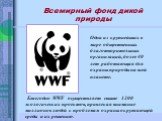 Ежегодно WWF осуществляет свыше 1200 экологических проектов, привлекая внимание миллионов людей к проблемам охраны окружающей среды и их решению. Одна из крупнейших в мире общественных благотворительных организаций, более 40 лет работающая для охраны природы на всей планете. Всемирный фонд дикой при