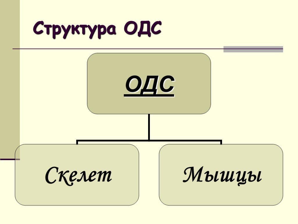 Что такое структура презентация