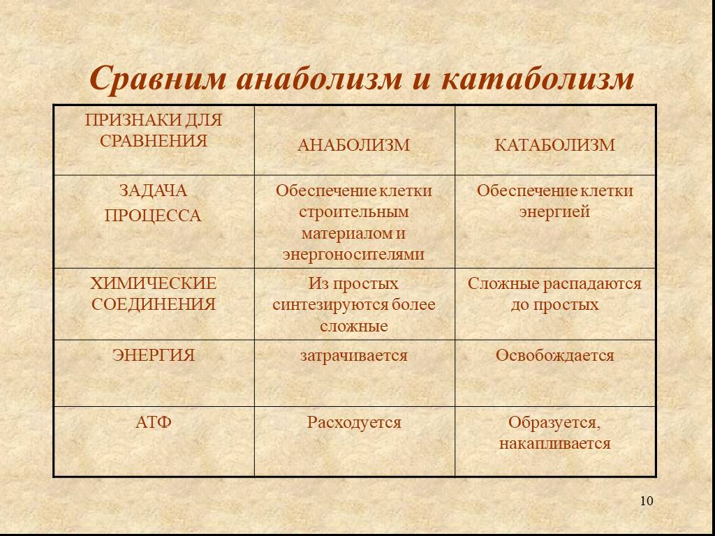 Катаболизм и энергетические процессы. Характеристика процессов анаболизма и катаболизма. Химические соединения анаболизма и катаболизма. Катаболизм и анаболизм таблица процессы. Катаболизм и анаболизм.