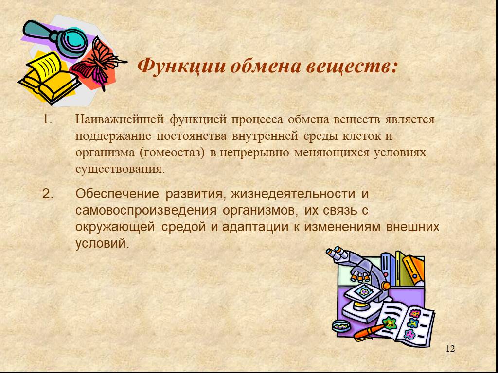 Функции обмена. Функции метаболизма. Функции обмена веществ в организме. Обмен веществ и его функции.