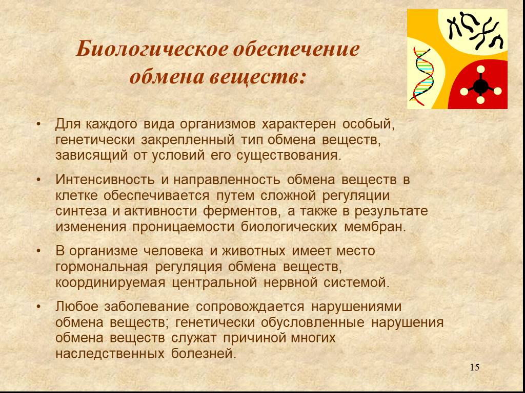 Обеспечивающие обмен. Биологическое обеспечение обмена веществ. Интенсивность обмена веществ. Направленность обменных процессов. Показатель интенсивности обмена веществ.