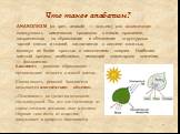 Что такое анаболизм? АНАБОЛИЗМ (от греч. anabole — подъем) или ассимиляция –совокупность химических процессов в живом организме, направленных на образование и обновление структурных частей клеток и тканей, заключается в синтезе сложных молекул из более простых с накоплением энергии. Наиболее важный 