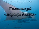 Гигантский «морской дьявол». Казахский Национальный университет имени аль- Фараби. Выполнила студентка 1 курса факультета Биологии и биотехнологии, группа ББ12-05Р Костина Екатерина Проверила: Кобегенова С. С. Алматы 2013 год