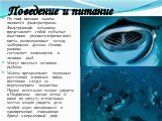 Поведение и питание. По типу питания манты являются фильтраторами. Фильтрующий механизм представляет собой губчатые пластинки розовато-коричневого цвета, расположенные между жаберными дугами. Основу рациона составляет зоопланктон и личинки рыб. Могут питаться мелкими рыбами. Манты преодолевают огром