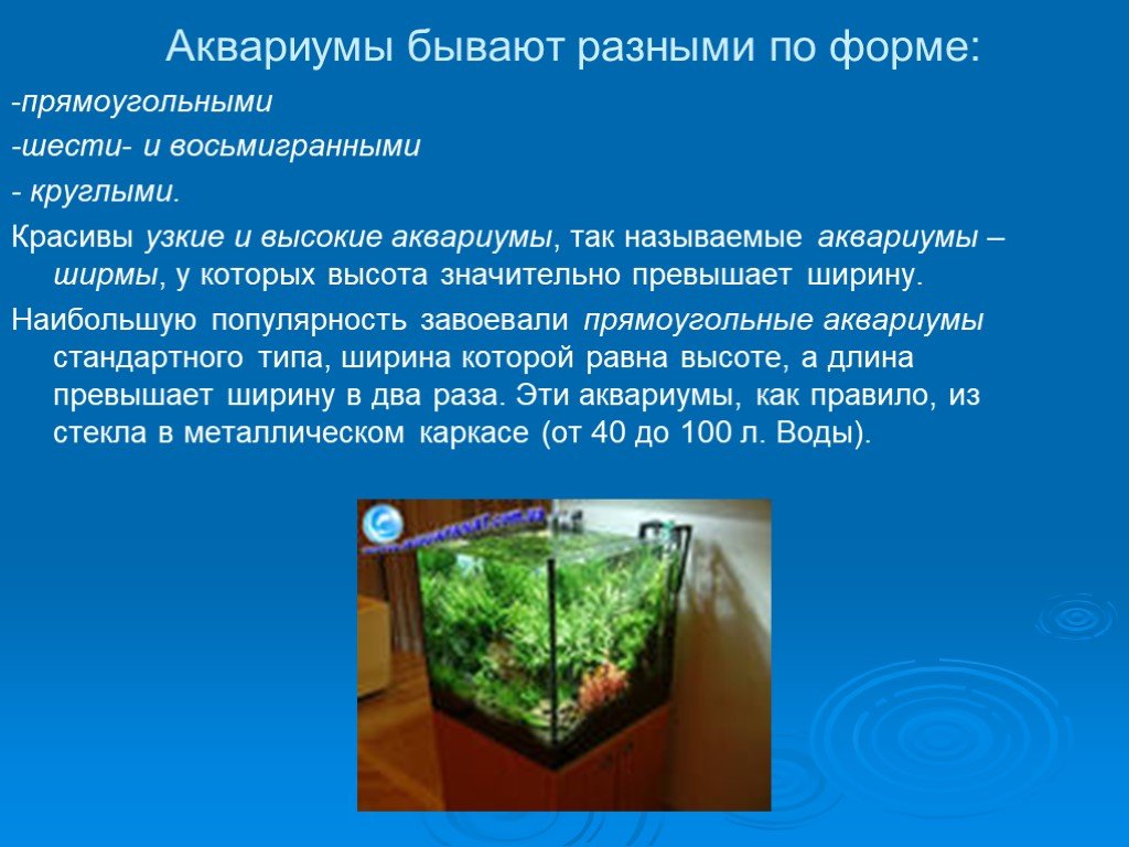 Какие организмы живут в аквариуме 5 класс. Аквариум искусственная экосистема. Проект аквариум. Аквариум для презентации. Аквариум и его обитатели.