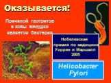 Оказывается! Причиной гастритов и язвы желудка является бактерия. Helicobacter Pylori. Нобелевская премия по медицине Уоррен и Маршалл 2005