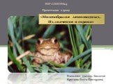 ГОУ СОШ №604 Презентация к уроку. «Многообразие земноводных. Их значение и охрана». Выполнил: учитель биологии Круглова Ольга Викторовна