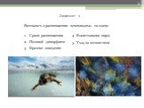 Задание 1. Рассказать о размножении земноводных по плану: Сроки размножения Половой диморфизм Брачное поведение. 4. Выметывание икры 5. Уход за потомством